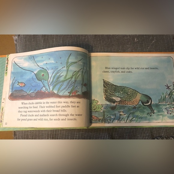 VINTAGE-Ducks don’t get wet by Augusta Goldin. Illustrated by Leonard Kessler. - Picture 5 of 8